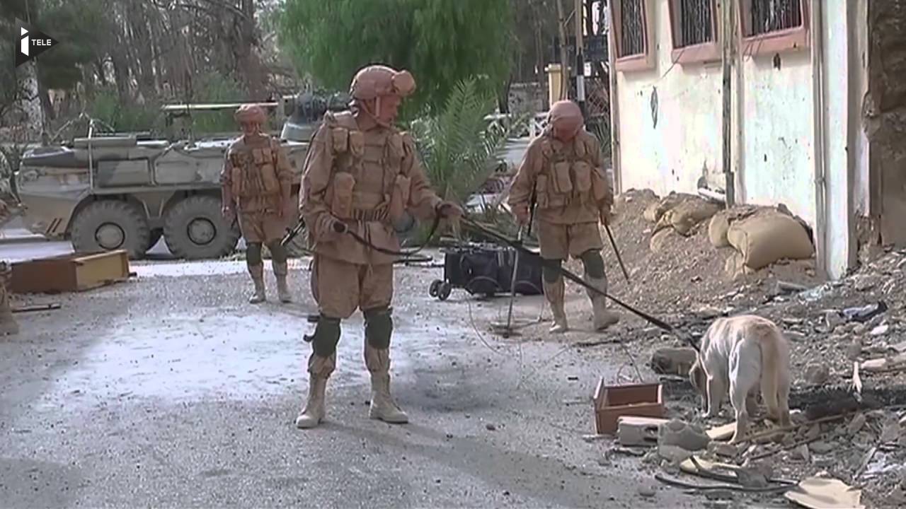 Syrie : l'armée russe a fini de déminer la partie historique de Palmyre