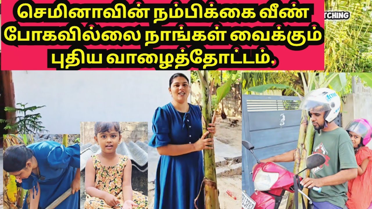 செமினானின் விடாமுயற்சி இன்று நிறைவேறியது,🤗|JSPwatching|Srilankan Tamil vlog.