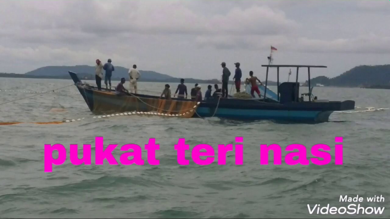 Pukat teri nasi
