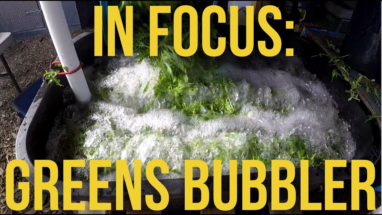 Breaking Ground with the Greens Bubbler: Revolutionary Advancements in Green Growing!