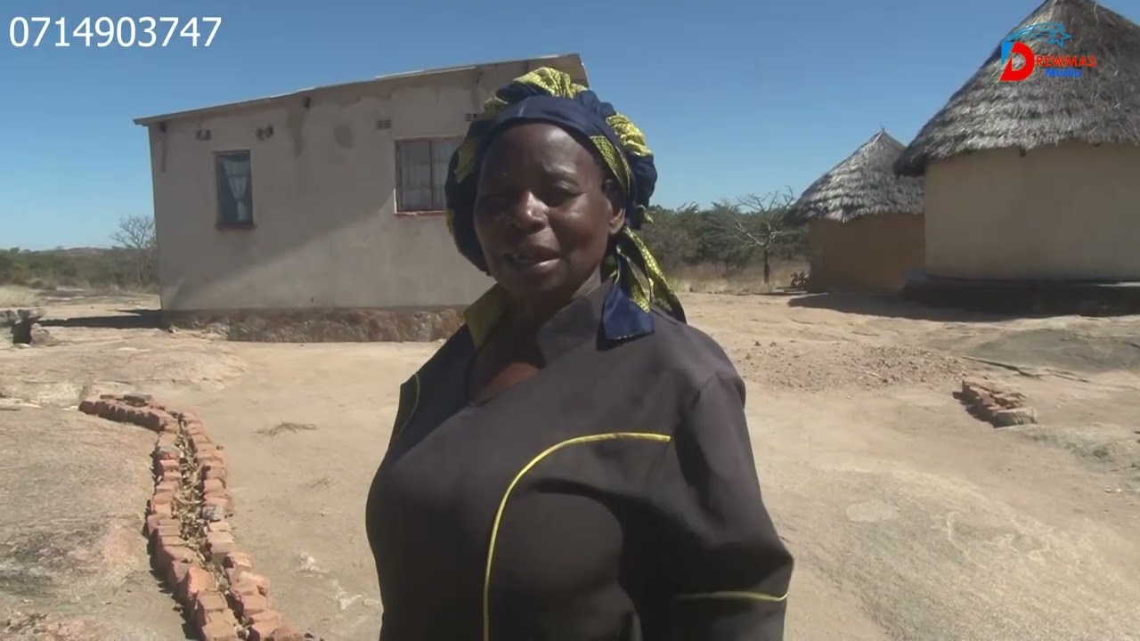GUTU........ MAUNGWA....VOSHUNGURUDZWA NENGOZI YEBENZI RAKAFA KUMA 1960s