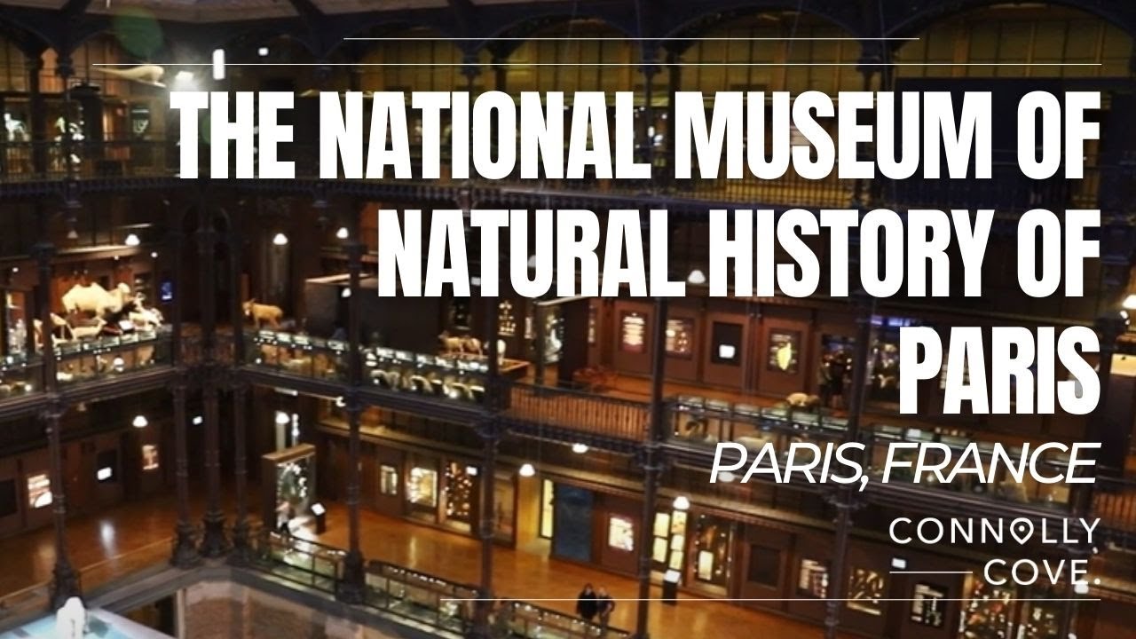 Visit the National Museum of Natural History of Paris | Paris | France | Things To Do In Paris