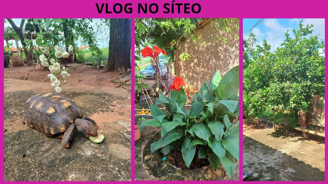 VLOG PASSEIO  NO SÍTEO NATUREZA DIA MARAVILHOSO 