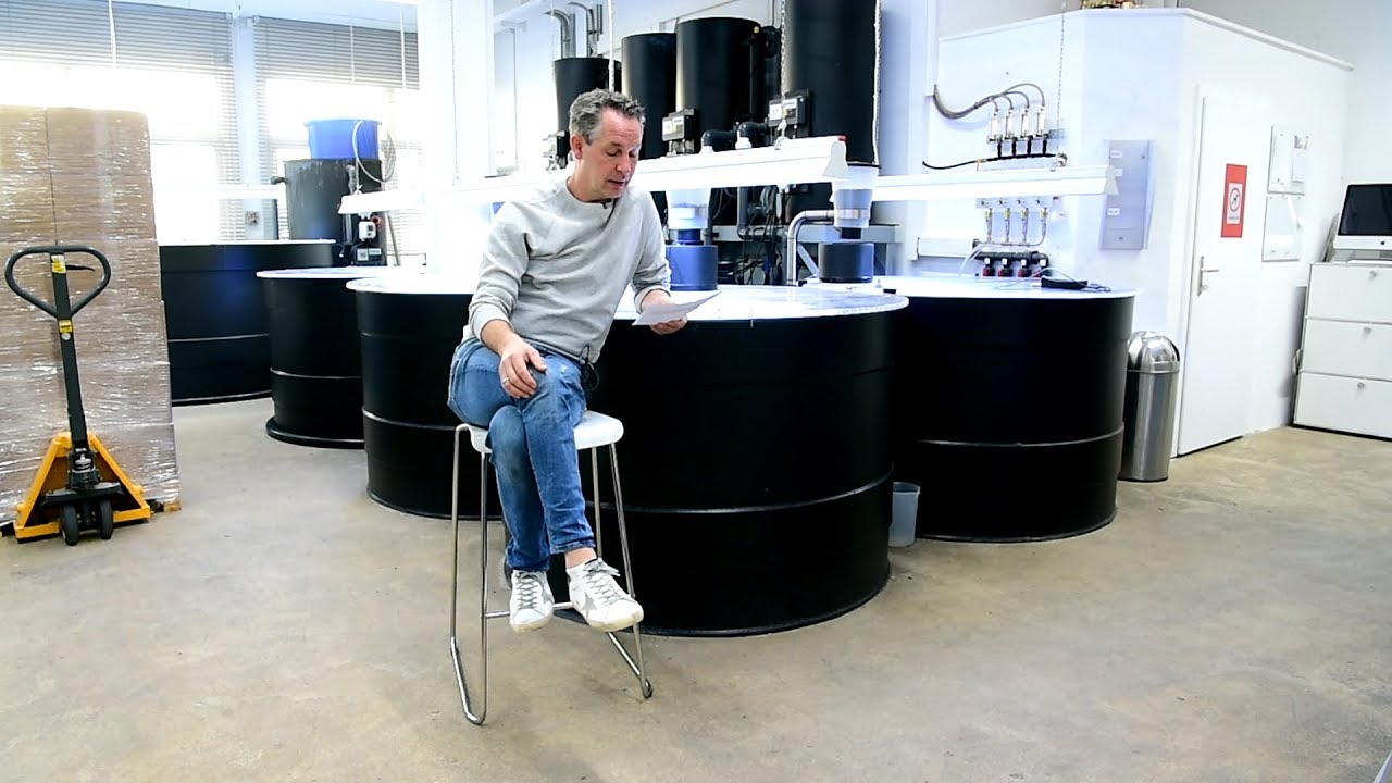 Modern Koi Blog #3002 - Weshalb gibt es von Konishi kein spirulinafreies Koifutter?