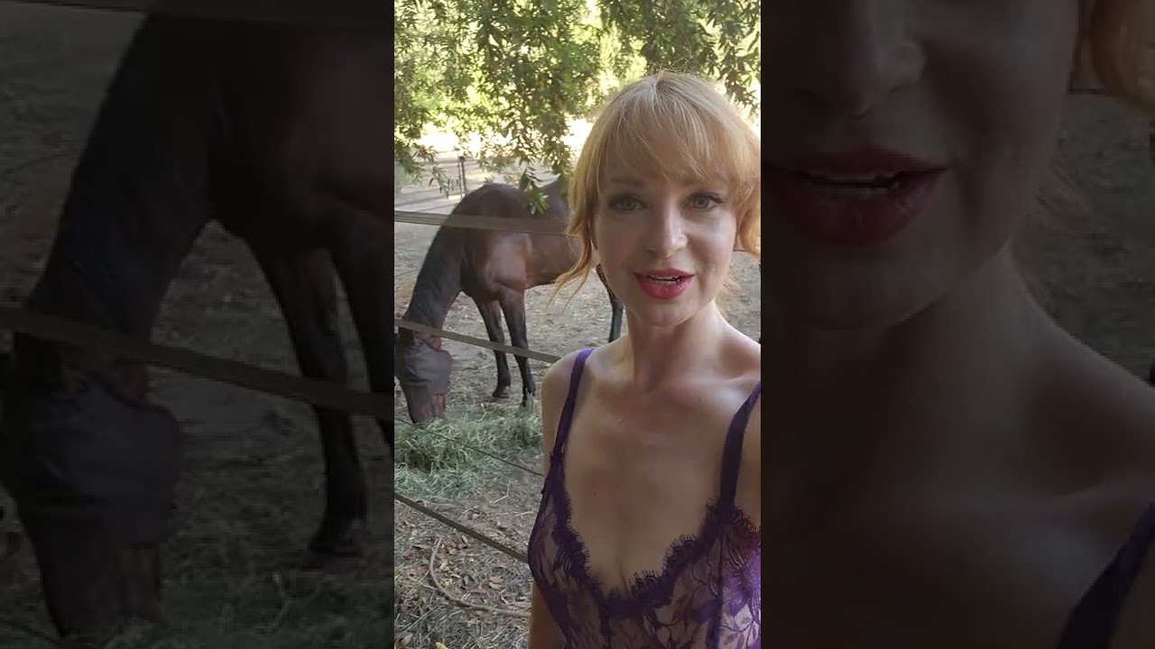 Dainty Rascal Dancing Meet My Horses