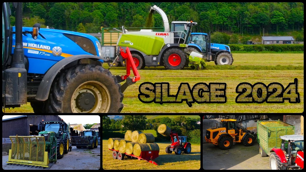 Silage 2024 | Best Bits