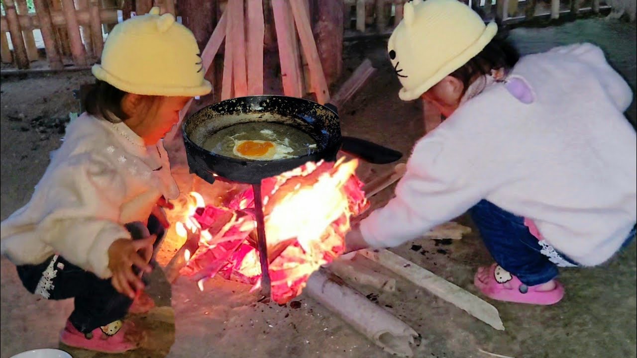Prepare materials, Build a house - Baby Ngan cooks at home, hen hatches
