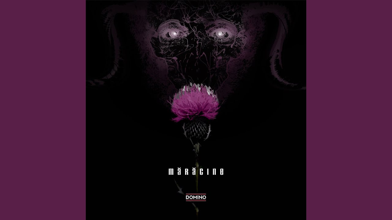 Mărăcine