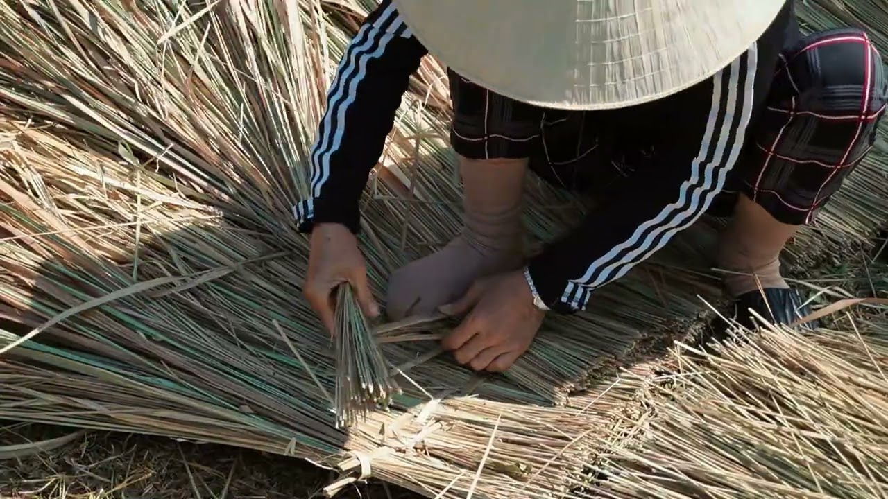 Watch the entire bamboo house come to life