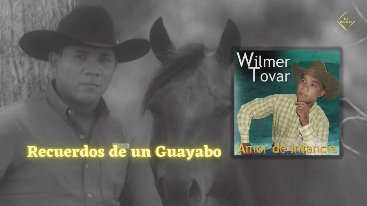 Wilmer Tovar - Recuerdos de un Guayabo