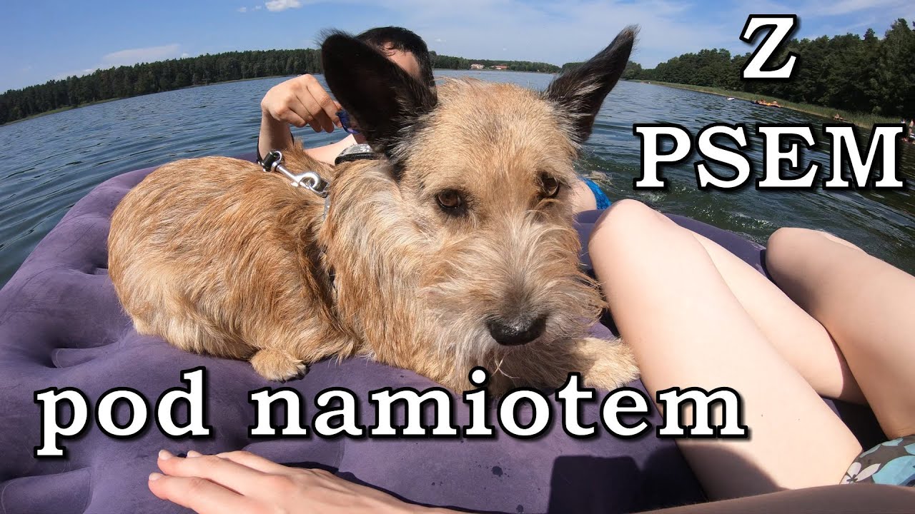 Pierwszy raz z psem pod namiot! Camping Swaderki na Mazurach | Daily #10