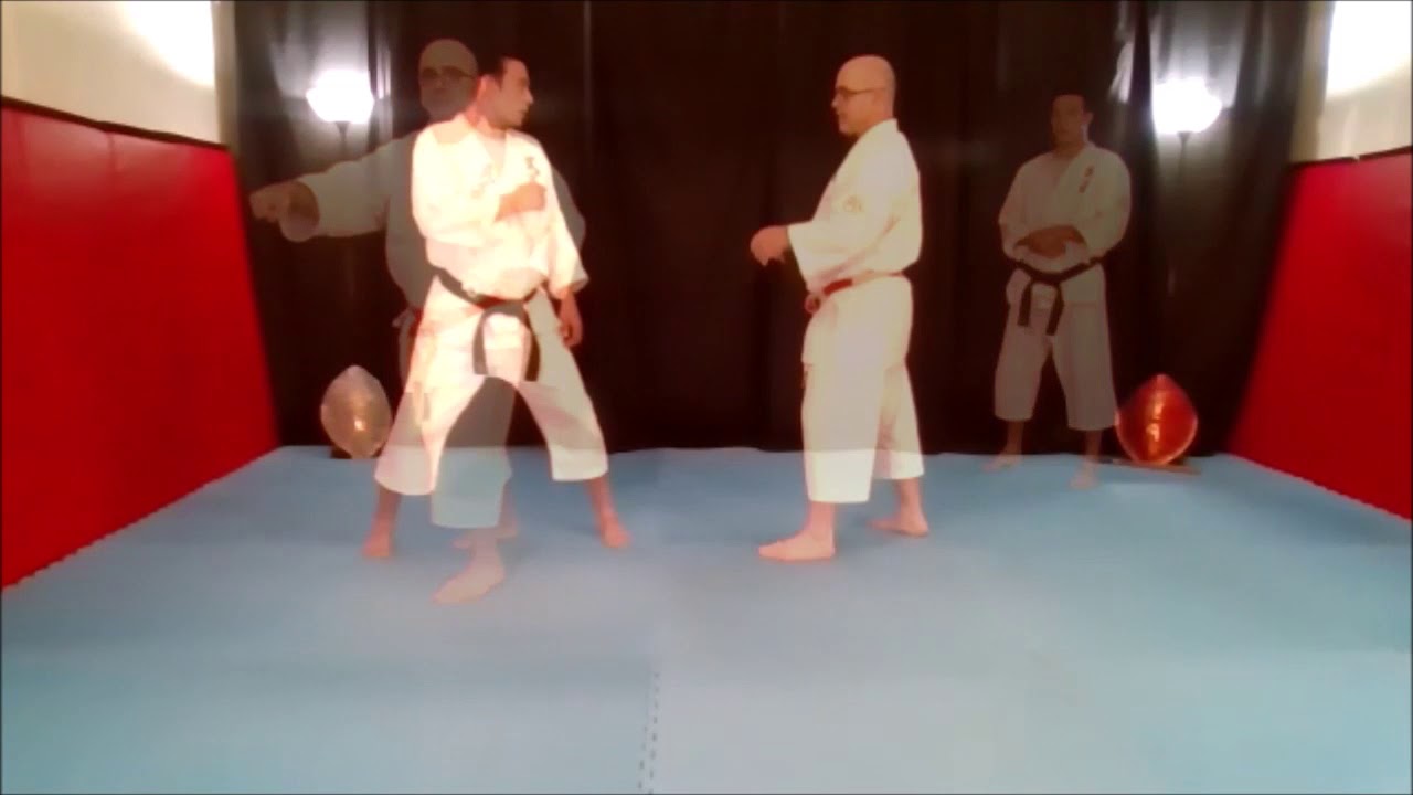Ananku Bunkai Sample 2020