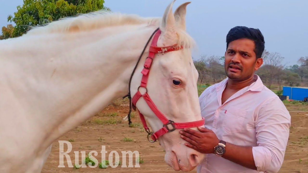 Rustom - 66