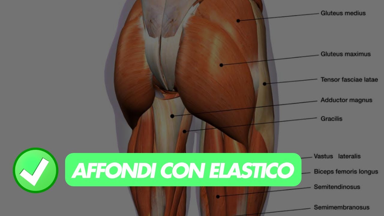 Affondi impegnativi con l'elastico | Molto impegnativo