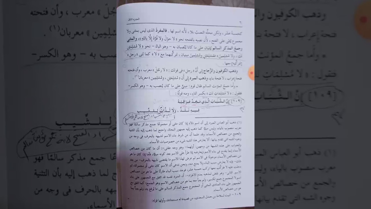 لا النافية للجنس. المحاضرة السابعة /الدكتور ميثاق