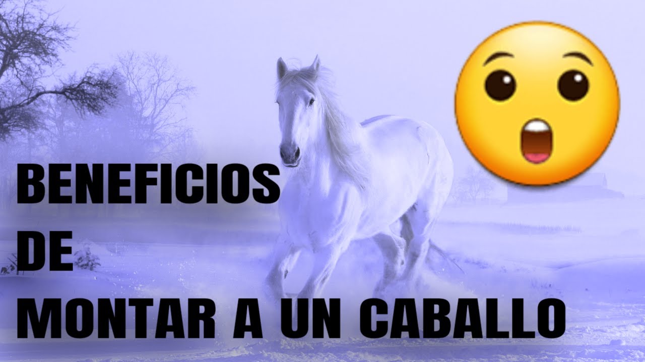 😱 7 BENEFICIOS DE MONTAR A UN CABALLO 😱