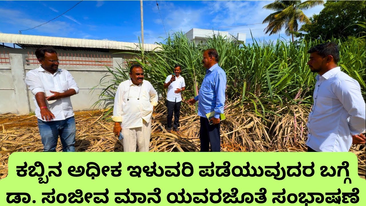 ಕಬ್ಬಿನ ಅಧೀಕ ಇಳುವರಿ ಪಡೆಯುವುದರ ಬಗ್ಗೆ ಡಾ. ಸಂಜೀವ ಮಾನೆ ಯವರಜೊತೆ ಸಂಭಾಷಣೆ #sugarcane #farming #highyield