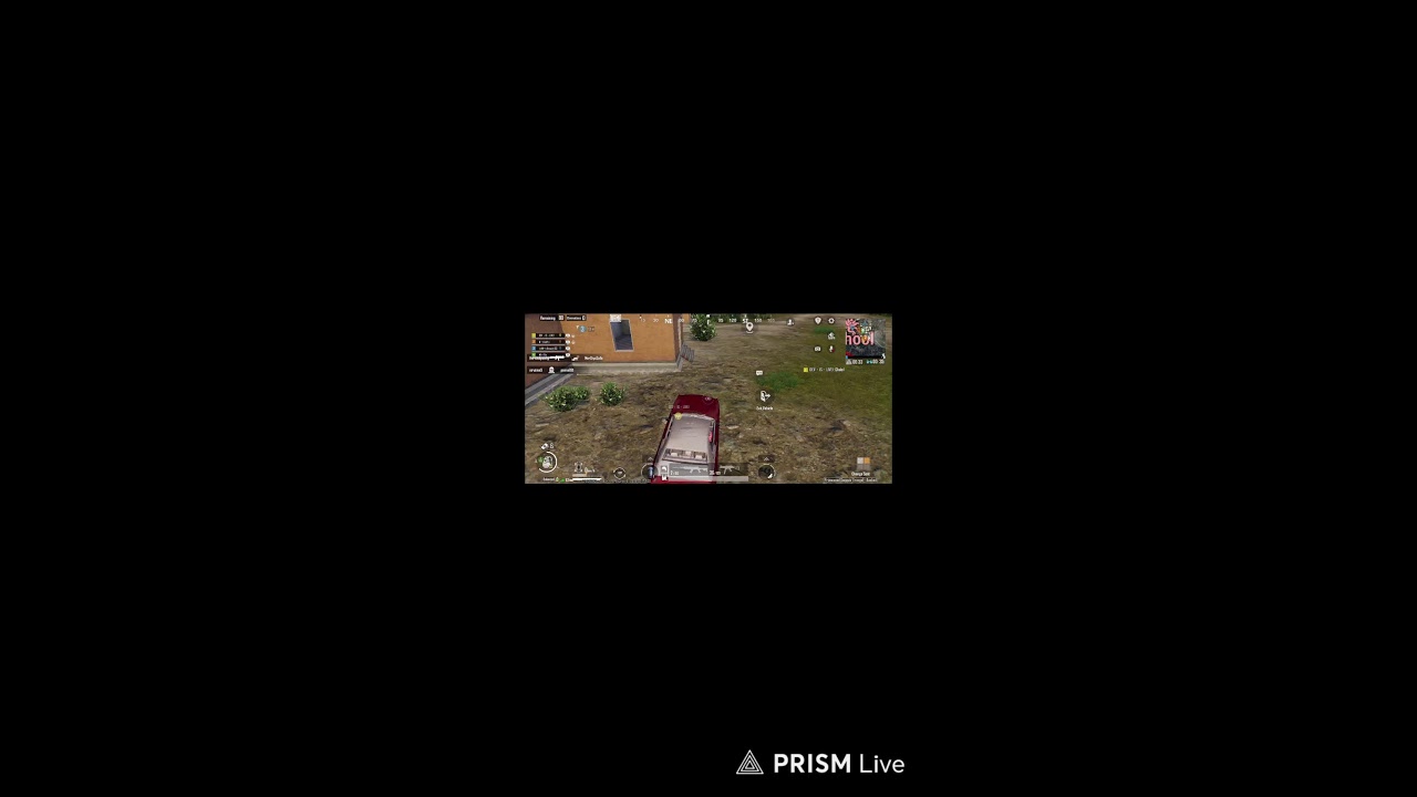Bgmi live stream