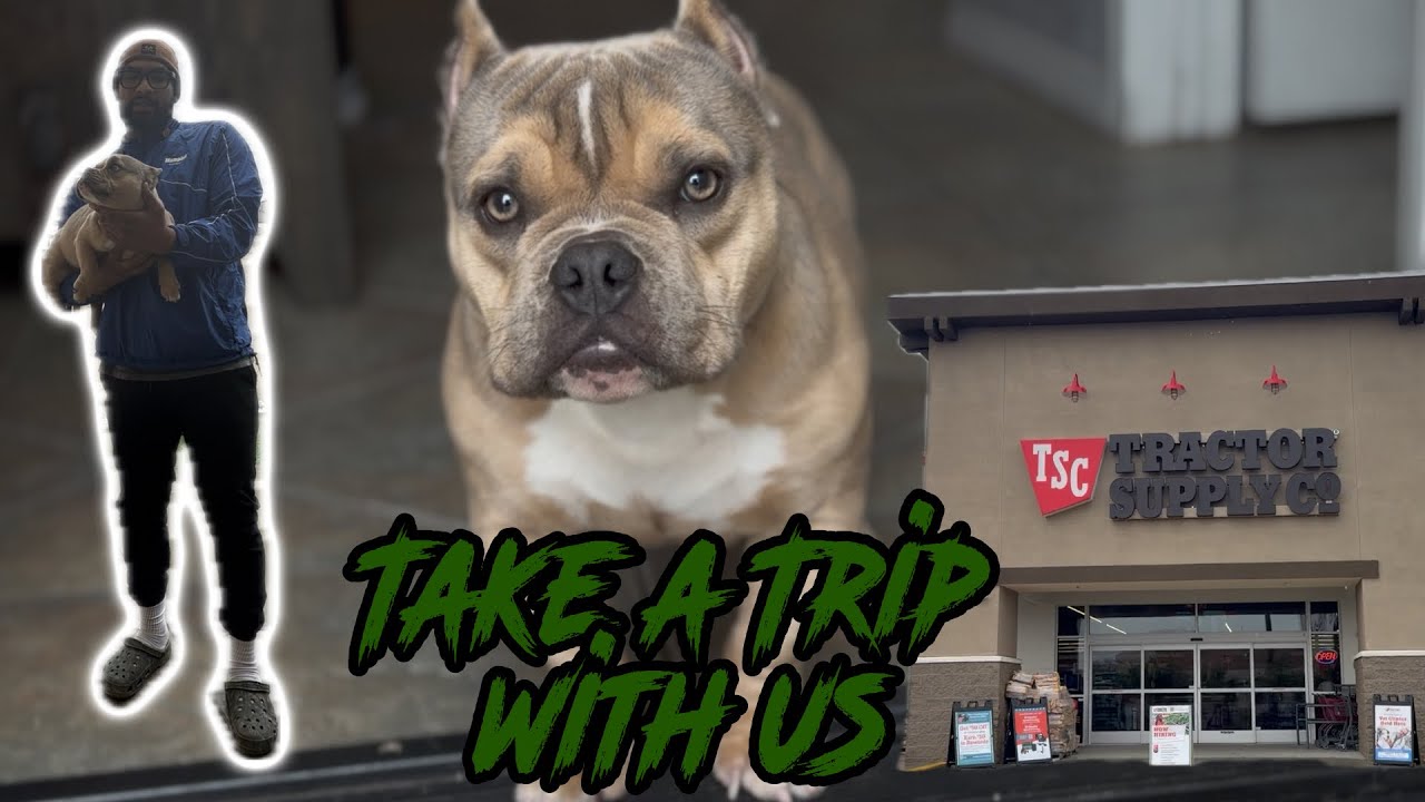 🐾 TAKE A TRIP WITH US | Bully Pup Shopping at Tractor Supply
