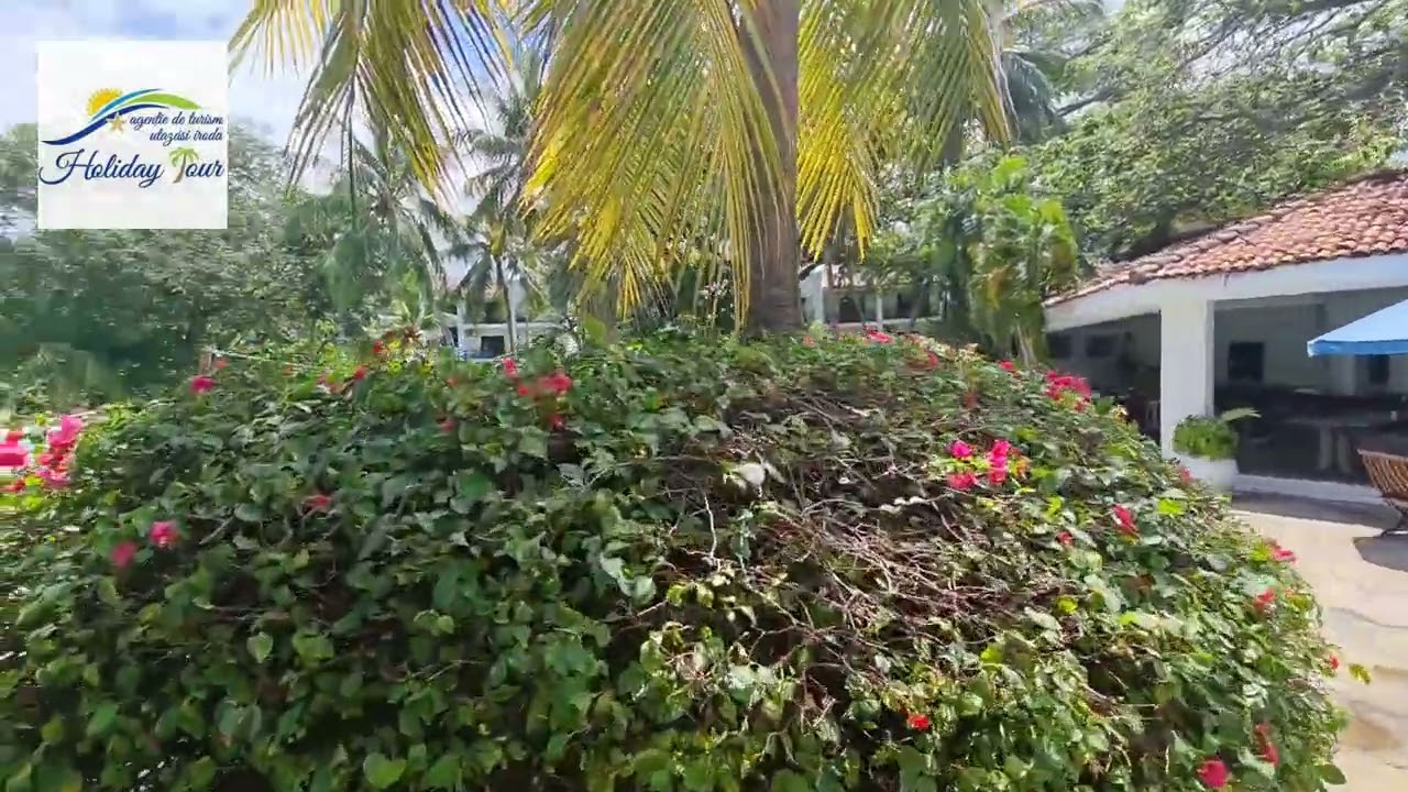 Diani Sea Resort - Kenya - Diani beach