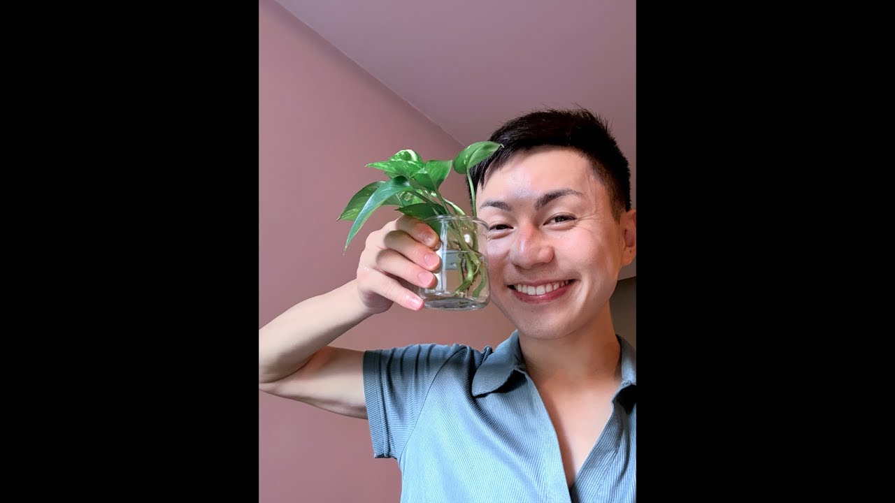 我が家の増えゆく植物とともに🪴