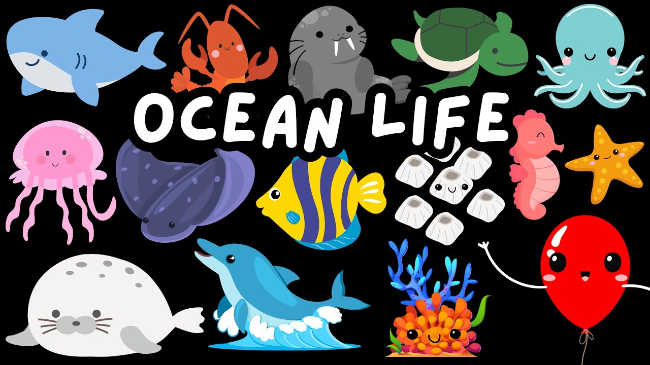 20 Ocean Life Words for Kids 🐬🐙🦀- Learn Ocean Life Words in English