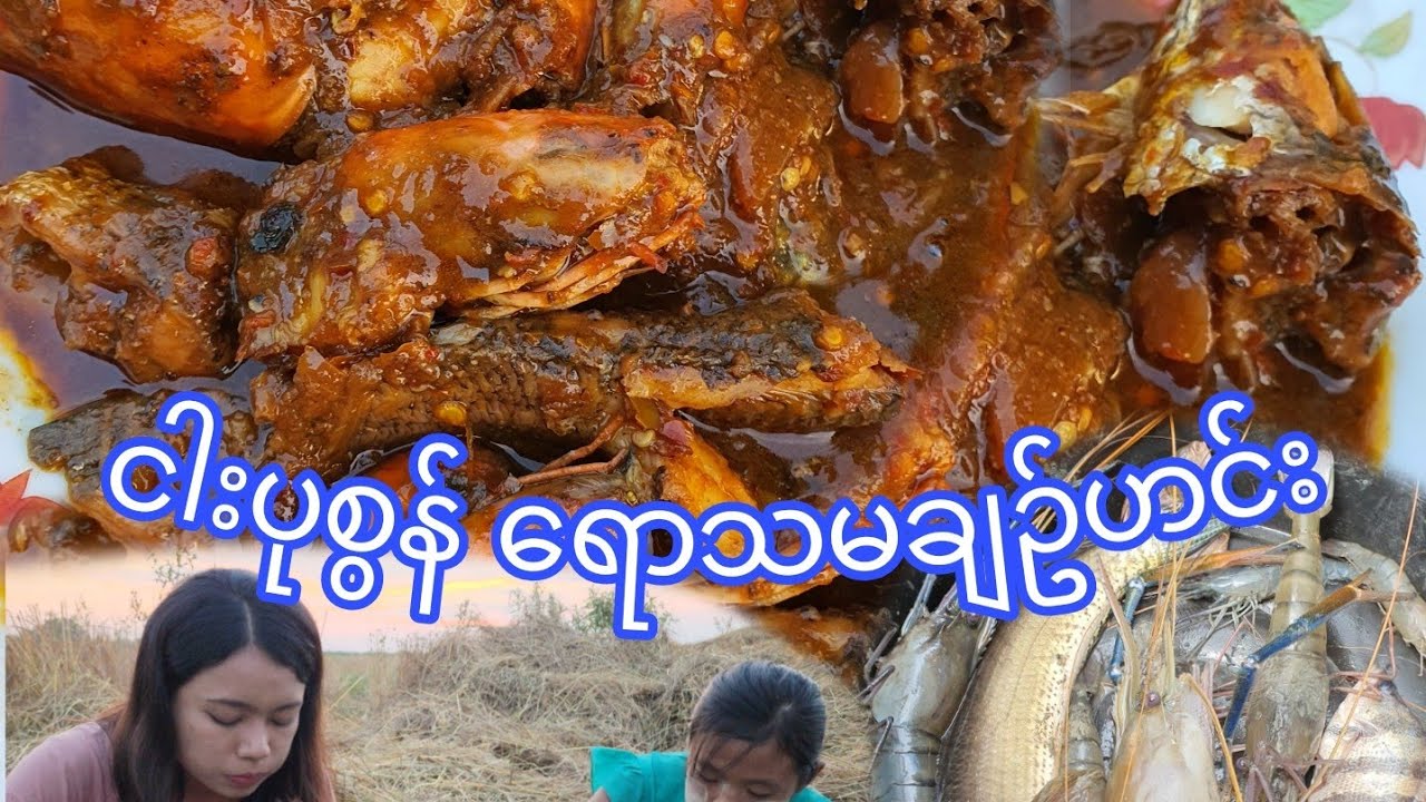 ချောင်းထဲကလက်နဲ့ဖမ်းလို့ရတဲ့ငါးပုစွန်တွေကို ရောသမချဥ်ဟင်းချက်ပြီး နားမူလေယတို့ထမင်းမြိန်ပြီလေ😋