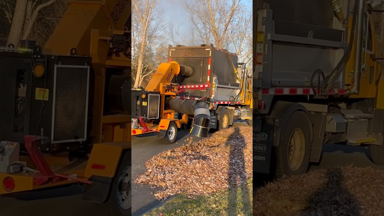 Brand New Tarco Windy Series leaf Vacuum