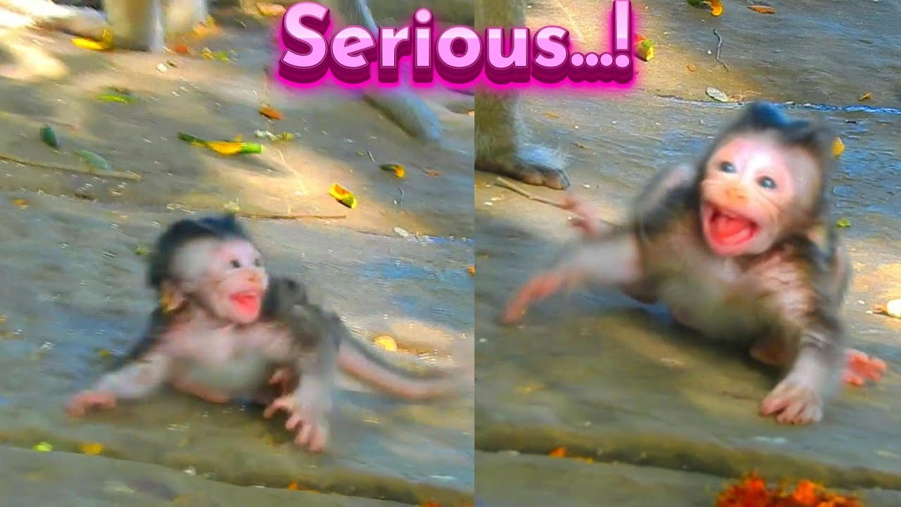Truely Hot Event! Poorest Newborn Really Lost Mother Cry Loudly Almost D/.ied...!