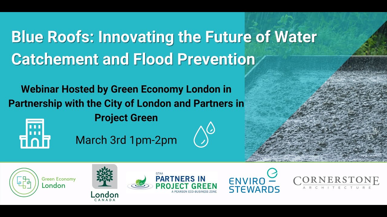 Green Economy London: Blue Roof Webinar