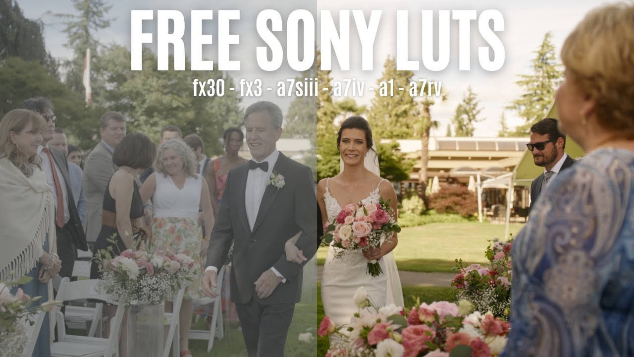 SONY FX30 LUTS - Free Download - SONY VENICE 2 BASE LUT - Cinematic Wedding Videography - FX3, A7IV