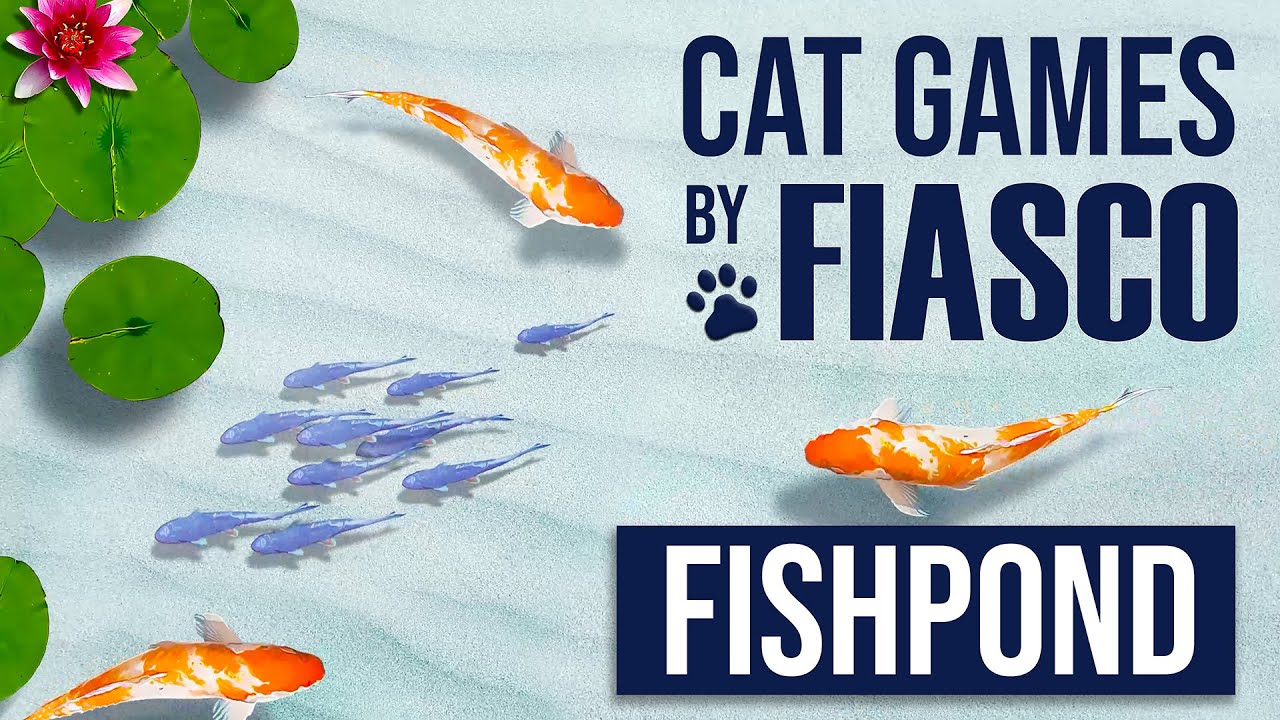 FISHPOND FOR CATS - Fish video for cats to play with - Koi fish game 2021