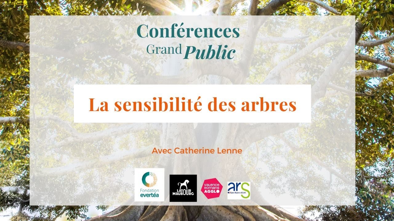 La sensibilité des arbres