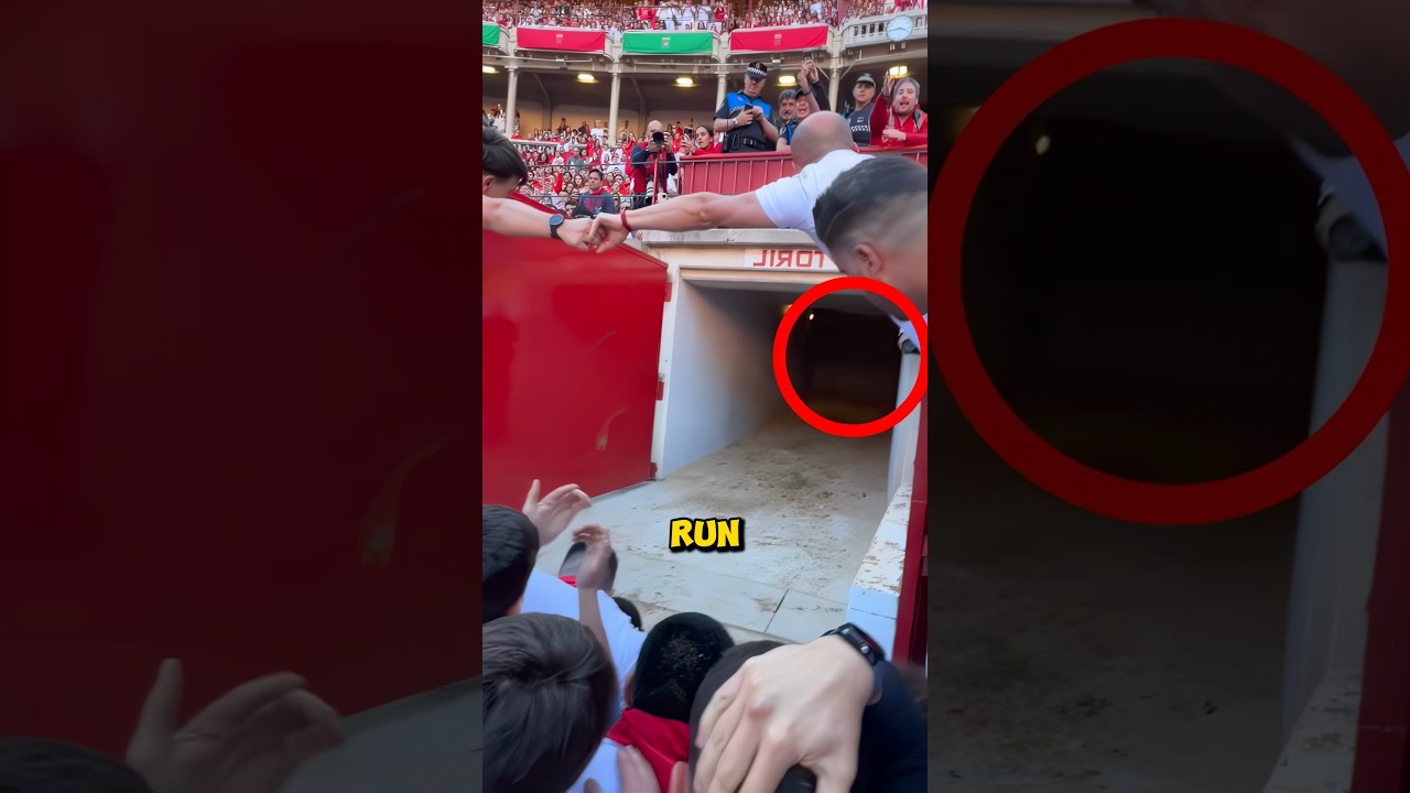 Insane Tradition of Spain 🤯