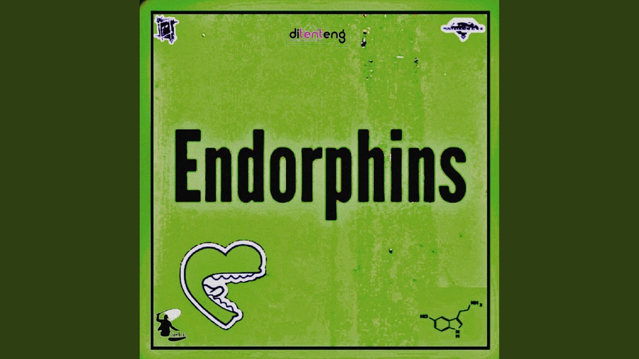 Endorphins III (The Drum-Science Orchestral UFO Voltage)