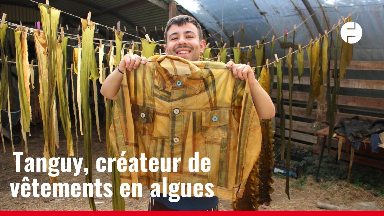 Ce Finistérien transforme les algues en vêtements