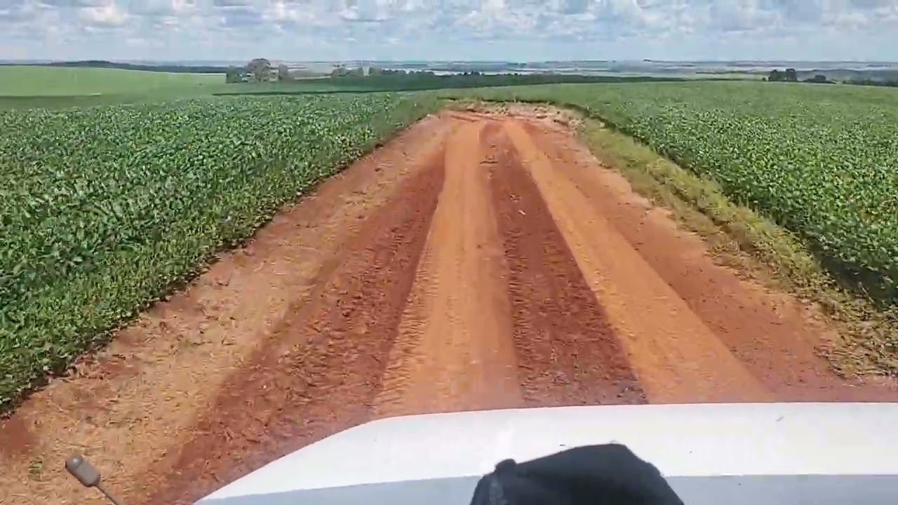 Saído do campo pra Agrária carregando de milho 🌽🌽 🌽🌽🌽🌽🌽🌽🌽🌽🌽🌽