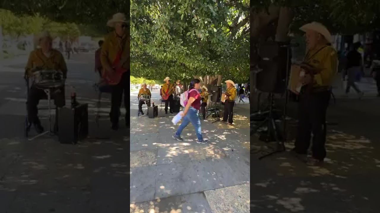Desde jalpa zacatecas 