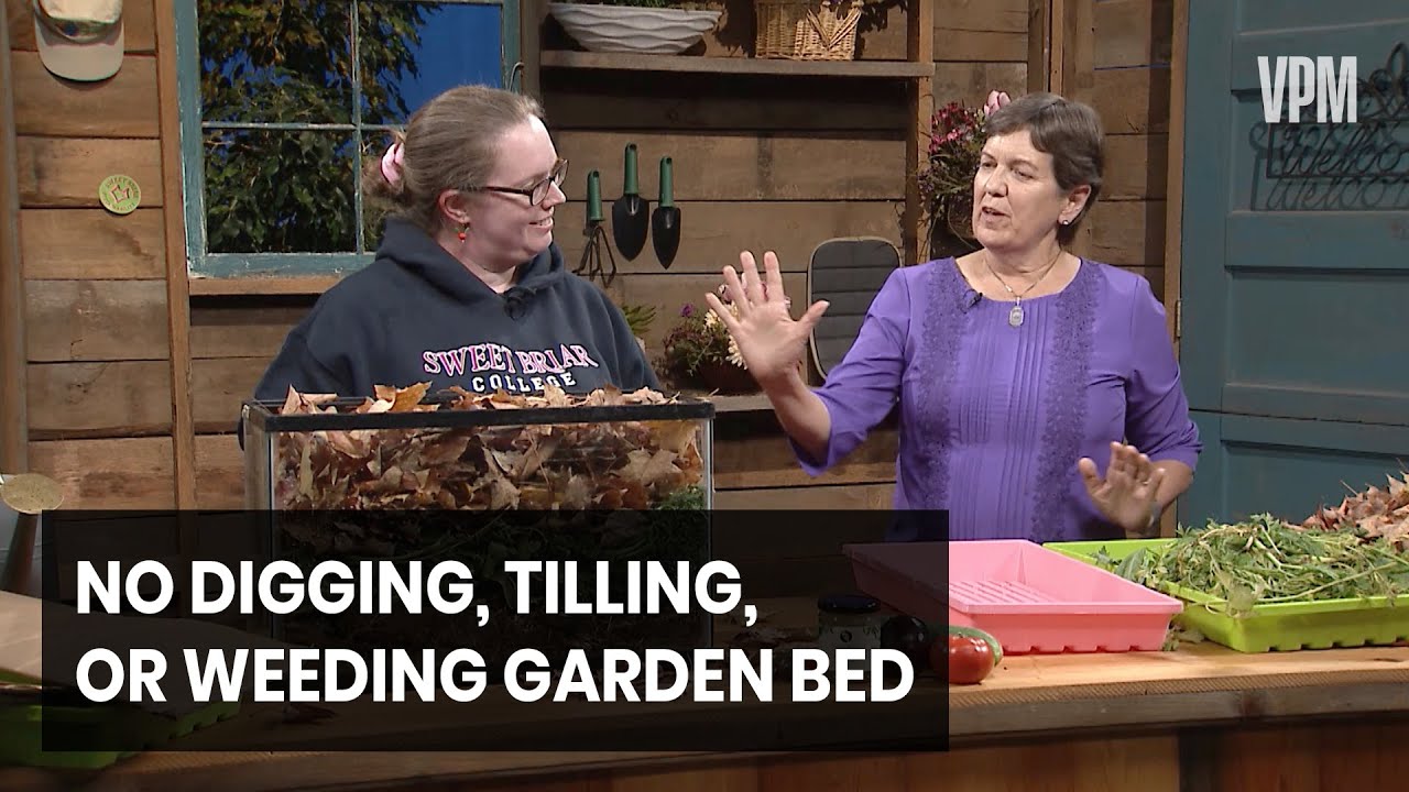 Garden With No Digging, Tilling or Weeding