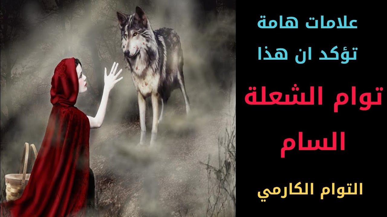 علامات هامة تؤكد انك في علاقة مع توام شعلة سام (التوام الكارمي)
