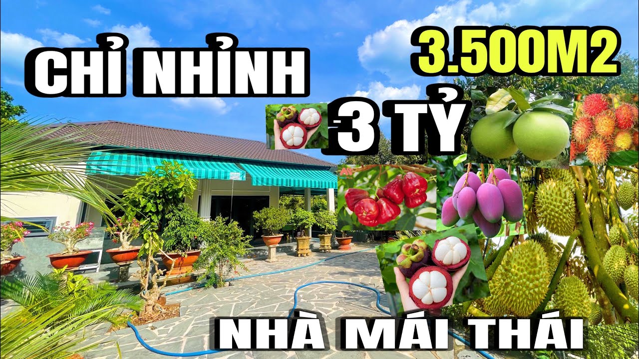 Chính chủ bán gấp, nhà vườn trái cây, gần khu du lịch lộc la, Long Khánh