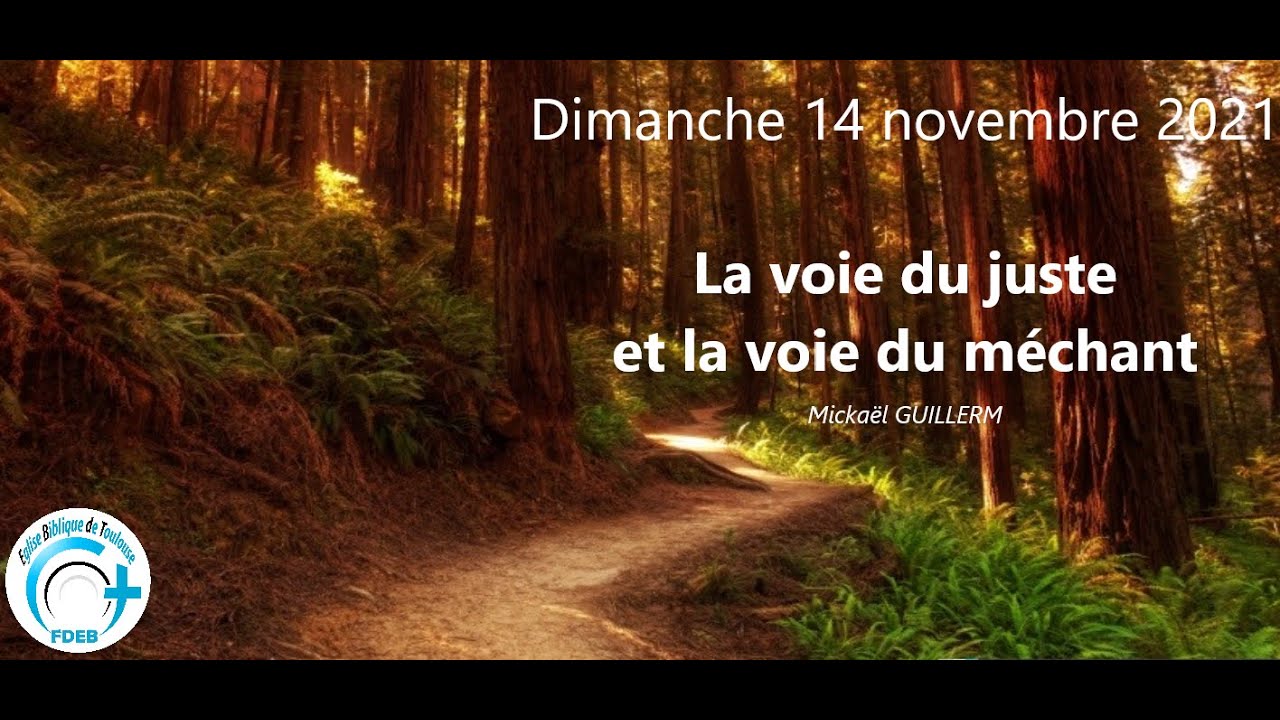 D.14.11.21 La voie du juste et la voie du méchant (Mickaël GUILLERM)