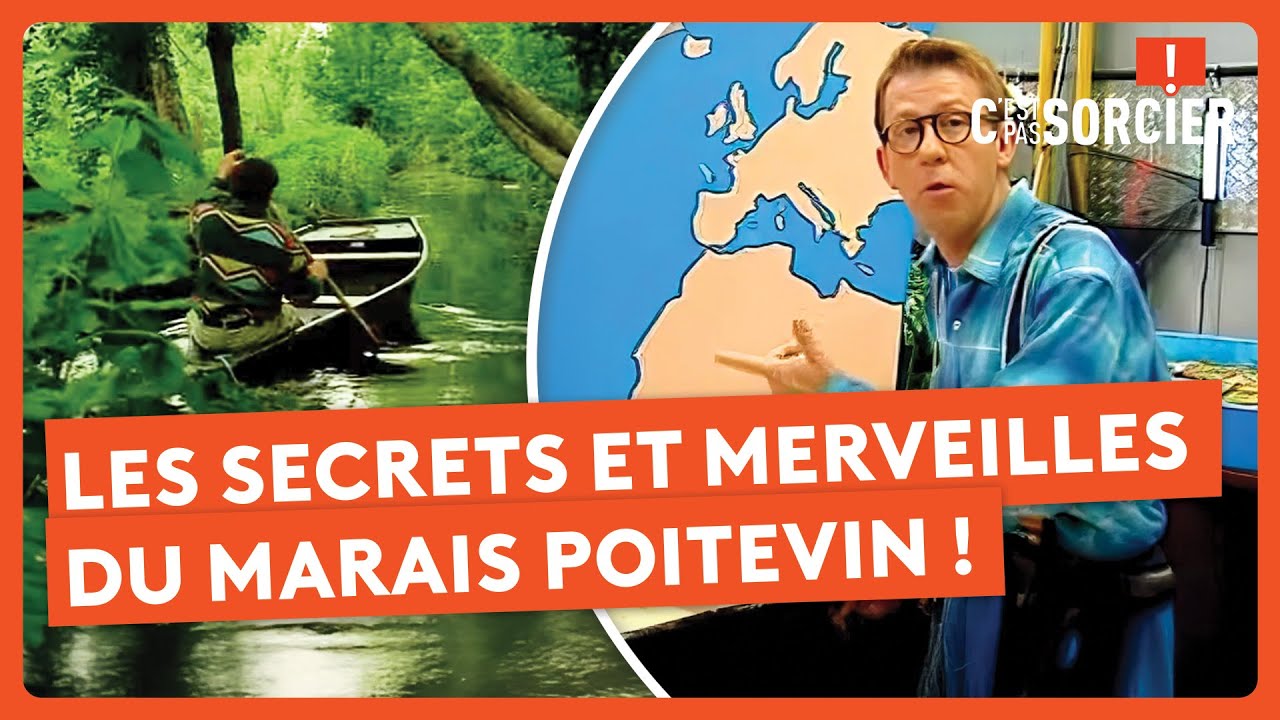 Les secrets et merveilles du Marais Poitevin ! - C'est pas sorcier