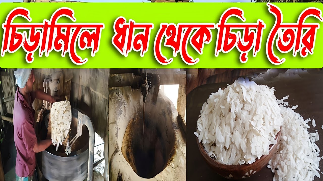 চিড়া কিভাবে তৈরি হয় দেখুন.,। চিড়া তৈরির পদ্ধতি, Haw To Make Chira