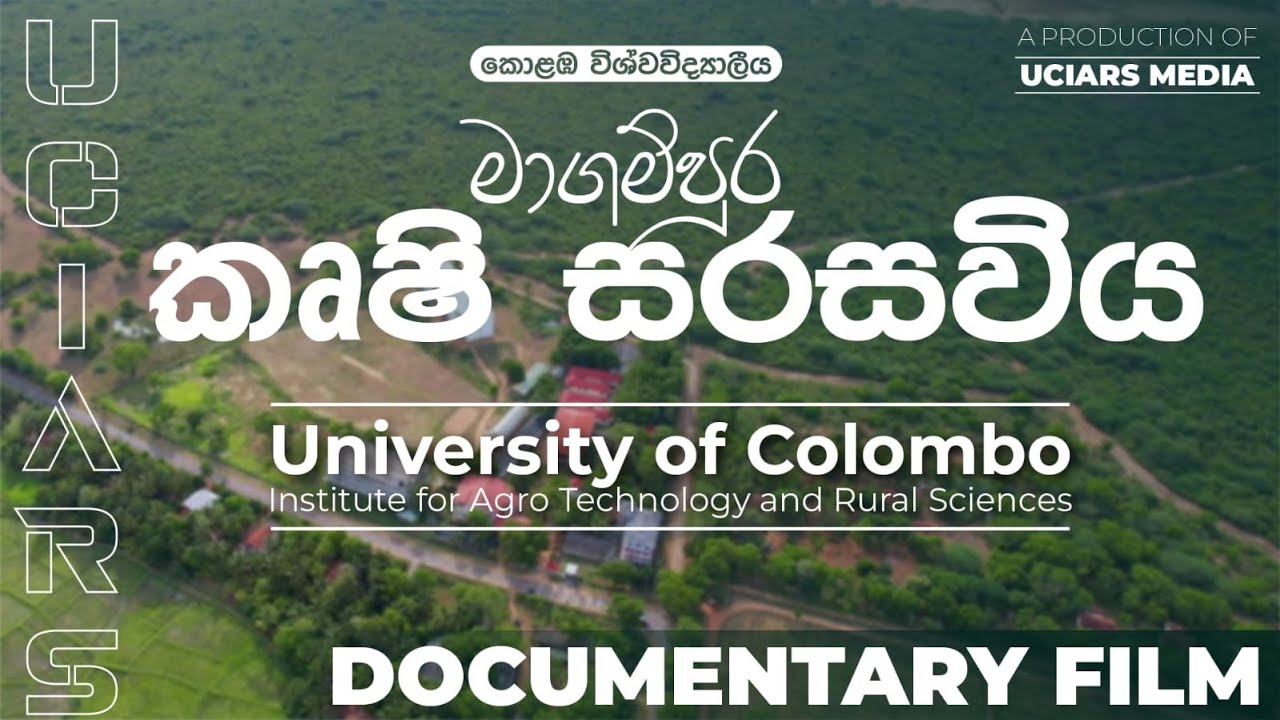 UCIARS Documentary Film 2024 | University of Colombo IARS | UCIARS Media