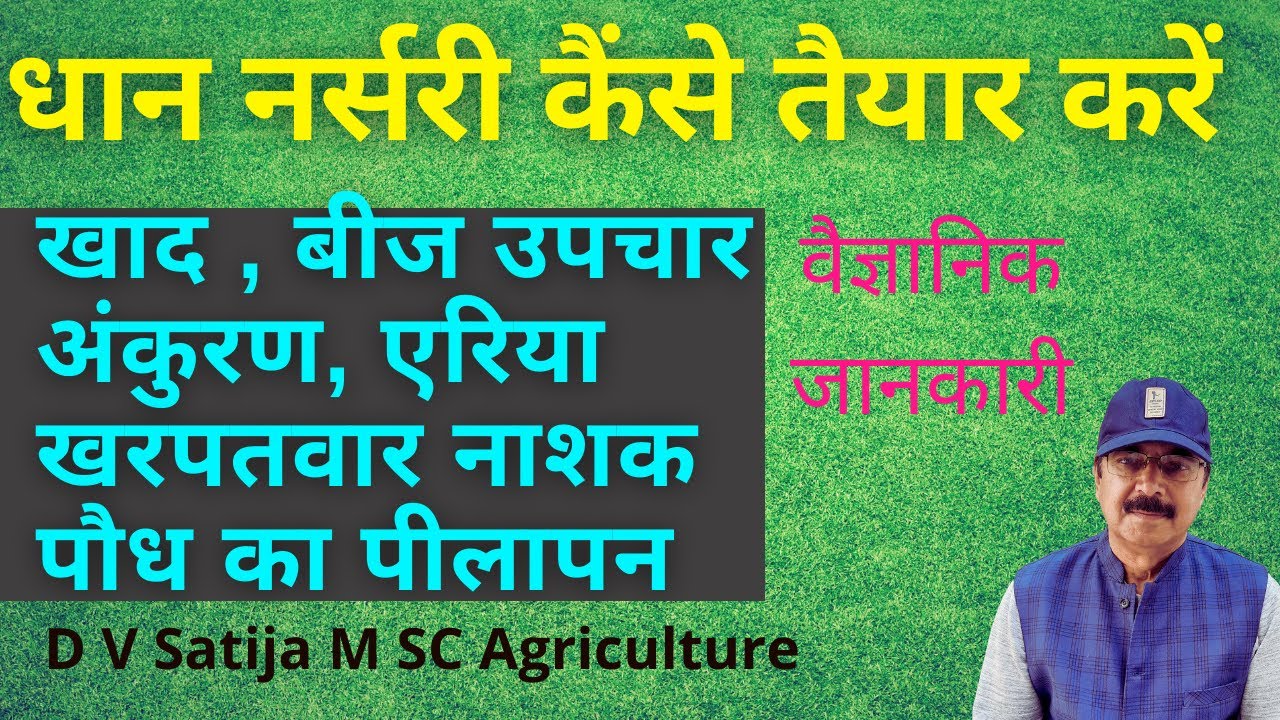dhan ki nursery kaise taiyar kare |  khad,beej,dawai , zinc sulphate,ferrous sulphate ,ssp,dap,urea|