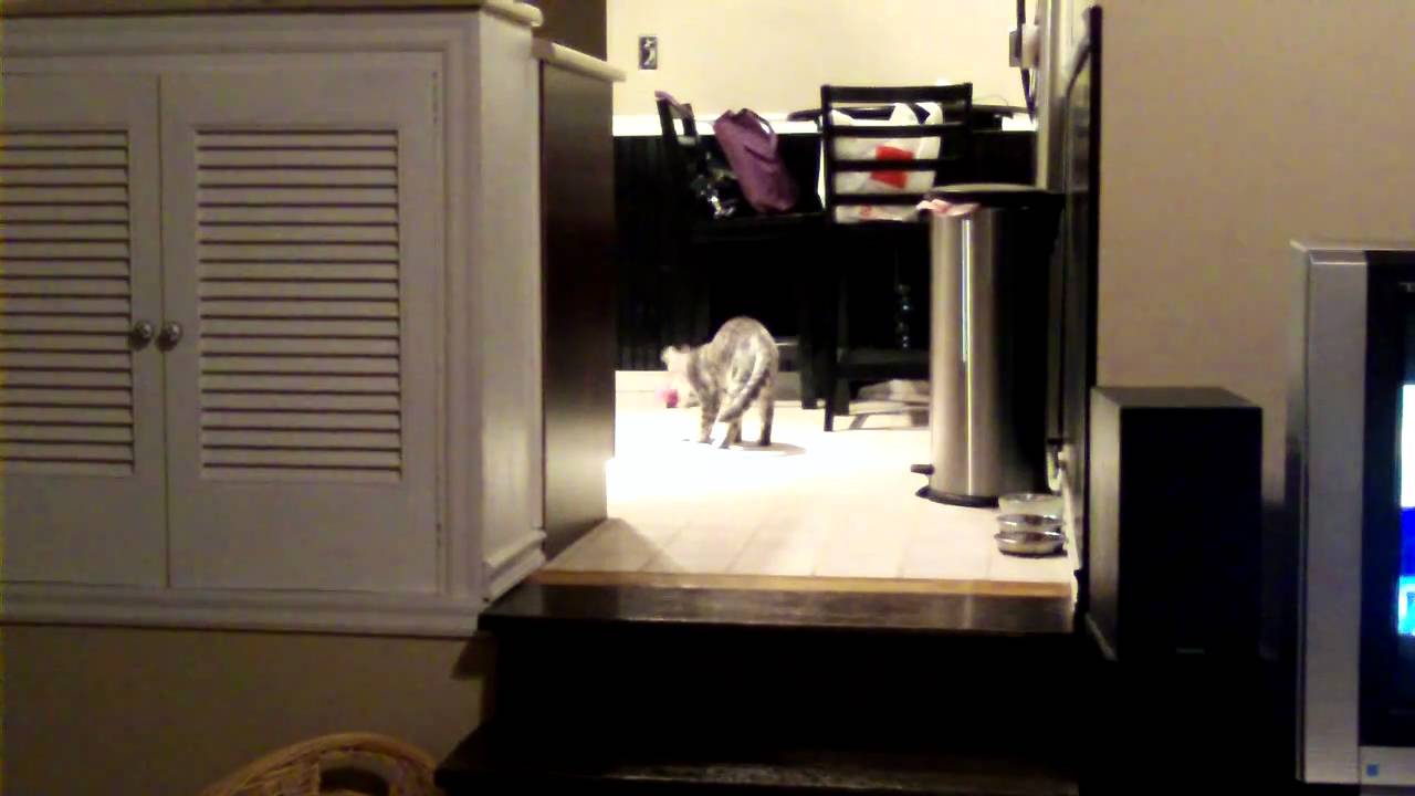 max fetching