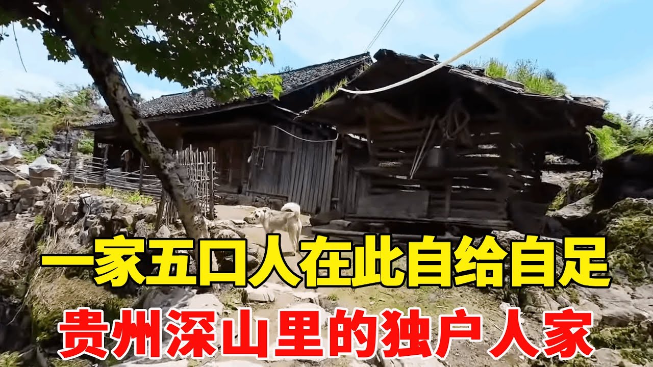 探访贵州深山里的独户人家，20年前花6万元买的房子，一家五口人在此自给自足！【乡村阿泰】