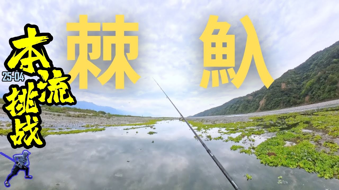 本流挑戰! 長征花蓮捲仔/湯鯉~ 沒想到還有藝人來探班陪釣!! #何氏棘魞 #捲仔 #大口湯鯉 #lurefishing #賽門哥 @kid7fat