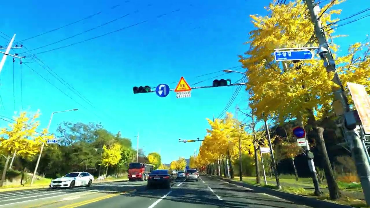🚗Drive in Korea🚗대구 팔공로  Palgong-ro Daegu Korea